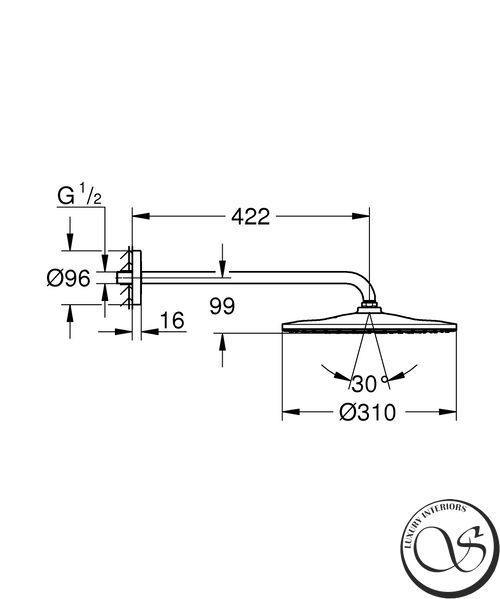 Верхний душ Grohe Rainshower 26558000 Mono Round с кронштейном 31 см 26558000 фото