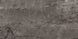 Плитка Ricchetti Cisa 0163129 PURE SUPREME GREY RT 60x120 см 163314 фото