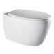 Kit instalare WC Geberit Duofix + WC suspendat IMPRESE SAFIR 458.103.00.1+115.137.11.1+i11217 458.103.00.1+115.137.11.1+i11217 foto 6