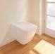 Унитаз подвесной Villeroy & Boch Finion 4664R0R1 с открытым смывным краем 56x37.5x35 cm, с DirectFlush, Альпийский белый CeramicPlus 4664R0R1 фото 7