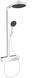 Душевая система Hansgrohe Rainfinity 250 1jet 28742700 EcoSmart с термостатом белый матовый 28742700 фото 1