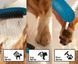 Ручной душ Hansgrohe DogShower 150 3Jet Petrol, синий (26640540) 26640540 фото 5
