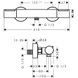 Термостат для душа Hansgrohe Ecostat Element 13346000 хром 13346000 фото 2