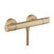 Baterie duș termostatică Hansgrohe Ecostat, bronz periat (13116140) 13116140 foto 1