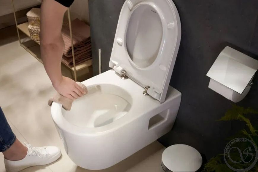 Scaun WC Hansgrohe EluPura Original S 60148450, SoftClose 60148450 foto