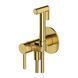 Гигиенический душ Omnires Y SYSYBI2BSB со смесителем Brushed Brass SYSYBI2BSB фото 1